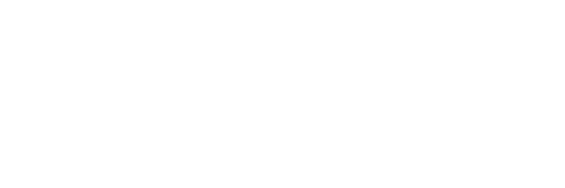 ILS — International Logistics Services